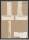 Pleurosigma stuxbergii Cl. et Gr. (de-Toni-Nr.: Genus 13, Species 1053) Zeichnungen Sammlung Grunow Nr. 1893 (NHMW-BOT-W0369009)